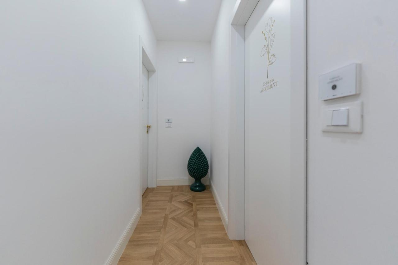 Aldrovandi Luxury Suites And Apartment Болонья Екстер'єр фото